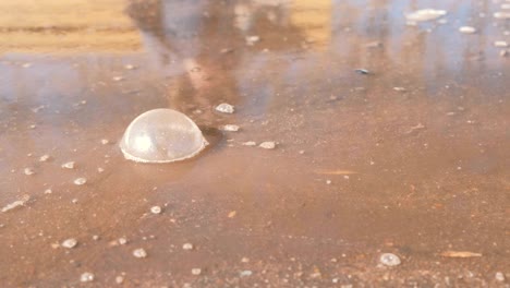 big bubbles in muddy puddle. close-up.
