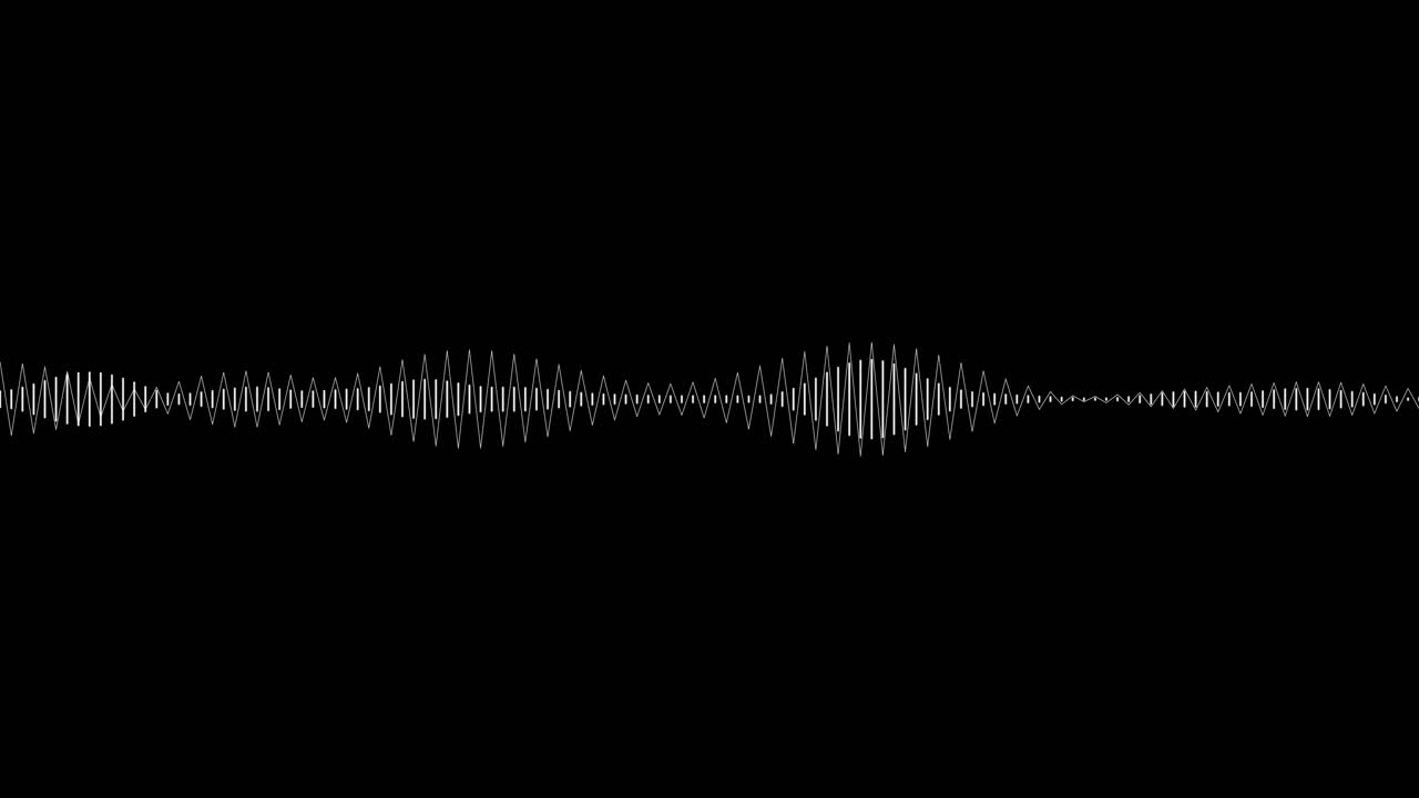 A simple black and white audio visualization effect-27