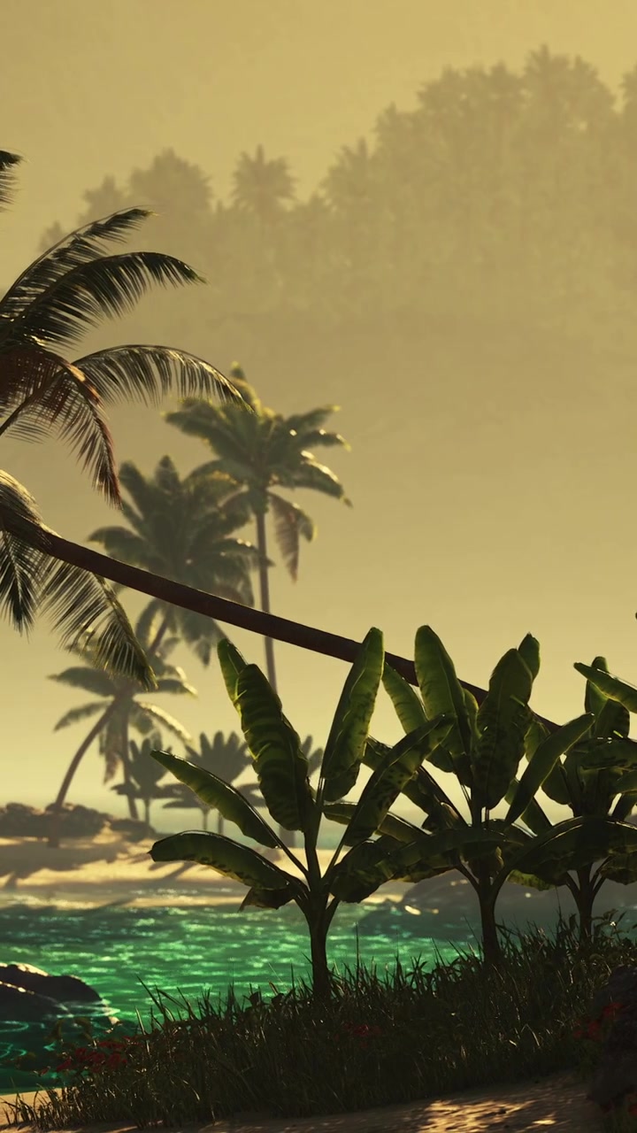 Palme e acqua al tramonto in una località tropicale sulla spiaggia