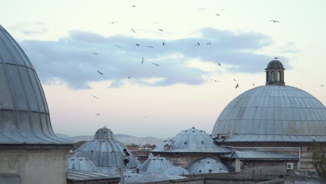 birds flying high above old town rooftops of famous mosque in istanbul