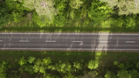 aerial vertical trucking shot of an empty asphalt road in the middle of the forest in summer