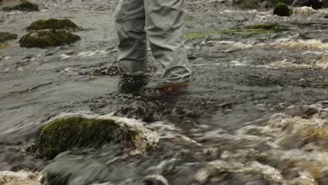 Tracking-shot-of-a-fisherman-wading-and-walking-in-the-river-whilst-casting