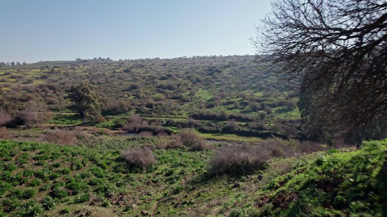Jordan Valley and the Jordan River in the Rift Valley