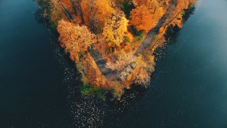 AERIAL-forest-in-amazing-autumn-shades-with-road-hiding-under-treetops