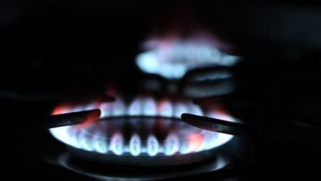 the blue flame from the burner of a gas stove