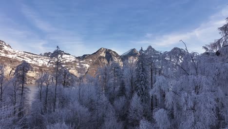 winter scenery near walensee, switzerland, with frost-covered trees and snow-dusted mountains. the crisp, clear sky and frozen landscape create a serene and breathtaking alpine scene.