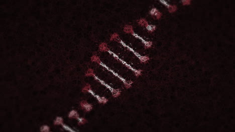 animación de una hebra de adn de modelo 3d granular giratorio, sobre un fondo negro