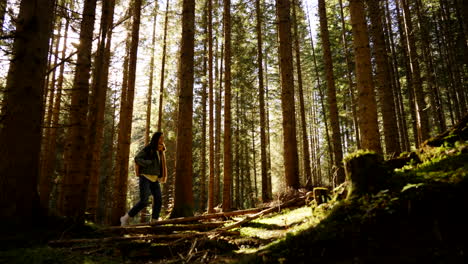 woman hiking in a sunny forest