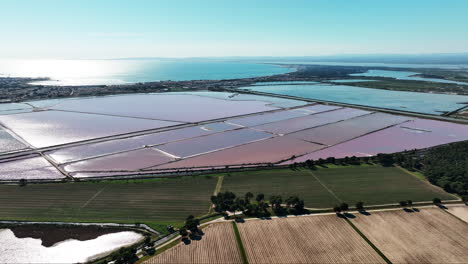 Elevated-capture-of-Salin-du-Midi's-captivating-pink-salt-tapestry.