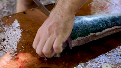 Preparación-Una-Caballa-Española-Recién-Pescada,-Limpia-Y-Fileteada-En-Deliciosos-Filetes-De-Pescado-Repletos-De-Saludables-ácidos-Grasos-Omega-3