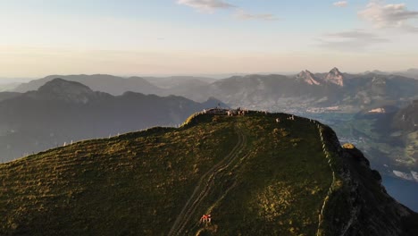 Aerial-flyover-around-Niederbauen-Chulm-in-Uri,-Switzerland-with-a-view-of-cows-grazing-and-mountain-peak's-tall-cliffs-above-Lake-Lucerne