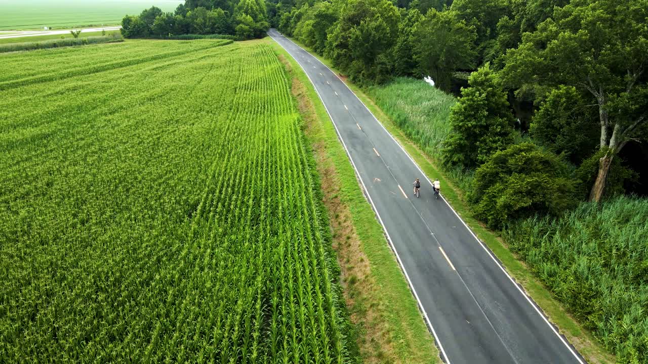 신선한 비바람이 몰아친 후 두 사람이 여유롭게 시골길을 자전거로 달리고 있습니다.
