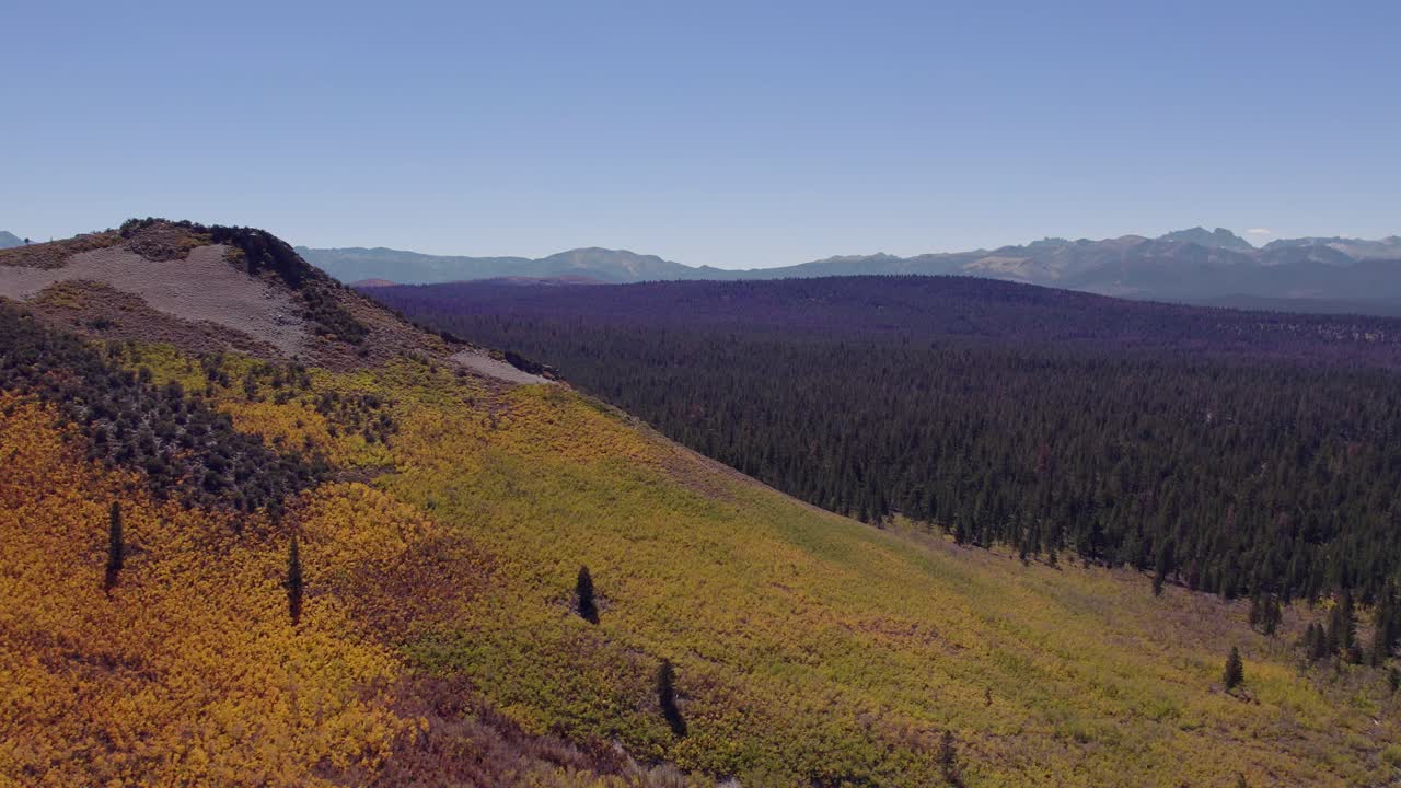 colores de otoño en la cumbre de sage hen en el condado de mono, california - paquete de disparos aéreos de drones para revelar los colores del otoño en el este de la sierra