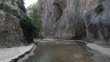 Vista-Por-Drones-De-Un-Pequeño-Río-Que-Fluye-A-Través-Del-Cañón,-Flujo-Del-Entorno-Natural