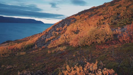 Ein-Sanfter-Hang,-Der-Mit-Hellem-Herbstlaub-Bedeckt-Ist