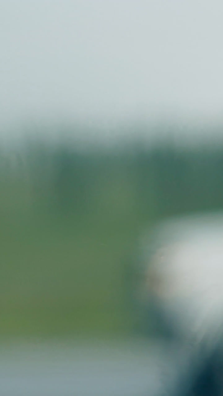 blurred car drives along road under rain against green silhouette view through wet automobile windshield