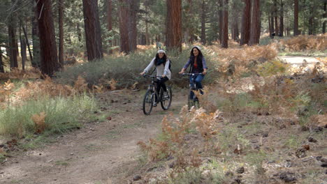 una pareja de lesbianas se dan una palmada mientras andan en bicicleta en un bosque.