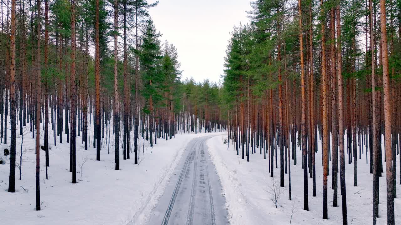 video de un avión no tripulado de una carretera cubierta de nieve y árboles altos en invierno