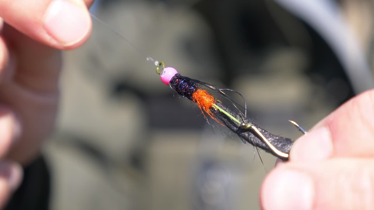 Close Up Of Angler's Hands Holding An Intruder Style Trout Fly With Hook For Fly Fishing