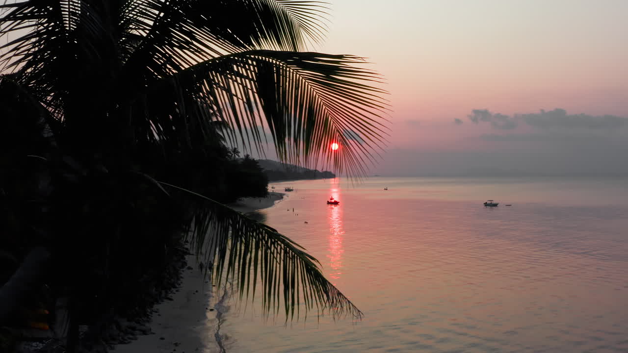 Silueta palmy nad tropickou pláží při karmínovém západu slunce na Bali