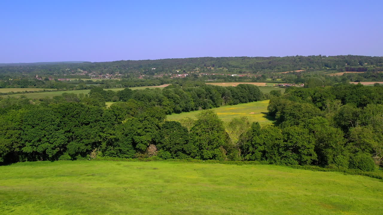 aérea que se eleva hasta el bosque de great oaks brillando día soleado reino unido 4k