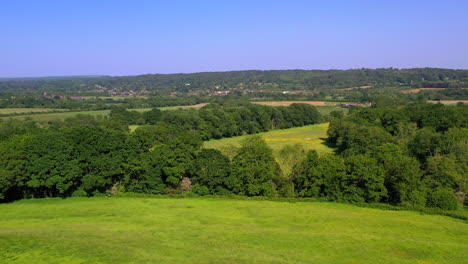 aérea que se eleva hasta el bosque de great oaks brillando día soleado reino unido 4k