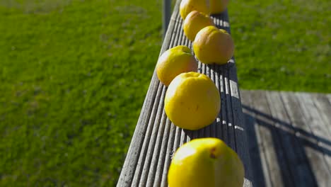 yellow apples on a wooden railing