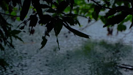 in the rainy season, eastern india receives heavy rainfall during the rainy season