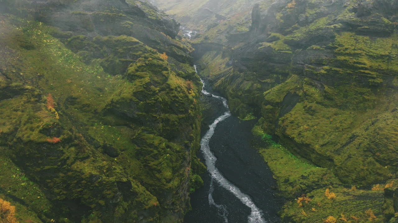 paso elevado sobre un río sinuoso que atraviesa un verde exuberante