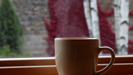 a cup of coffee by the window