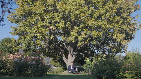 man sitting under a large magnolia tree in a garden