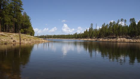 Weidenquelle-Mit-Beruhigenden-Wellen-Und-Einem-Mann,-Der-Am-Ufer-Fischt