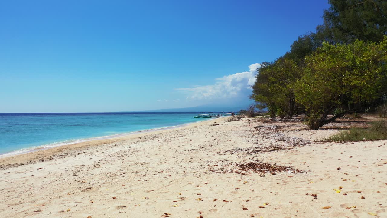Sfondo di una bellissima spiaggia tropicale di sabbia, un albero con un'altalena di corda e acqua di mare turchese, ripresa in carrellata