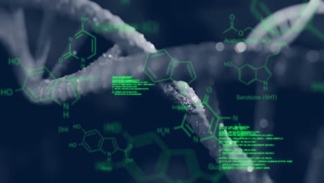 animación de estructuras químicas y procesamiento de datos sobre el hilado de cadenas de adn
