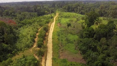 aerial drone view flying backwards over a small sand road, in the jungle, on a sunny day, in nanga eboko forest, haute-sanaga, southern cameroon