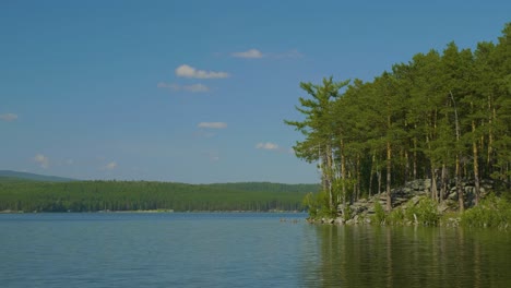 el paisaje sereno del bosque junto al lago