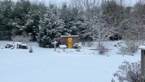 large snowflakes falling in picturesque winter scene after fresh snowfall covers ground and forest