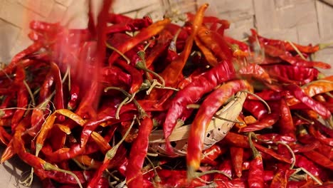 Rote-Chilischoten,-Viele-Aus-Flachem-Winkel-Am-Tag