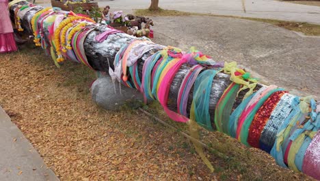 colorful ribbons tied around a tree log - tradition and beliefs in thailand - closeup, slider shot