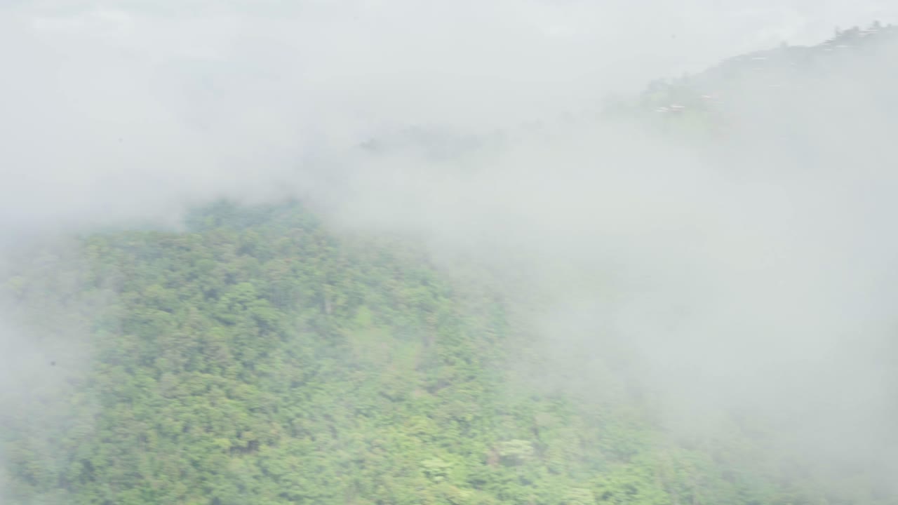 안개가 가득한 산림 풍경