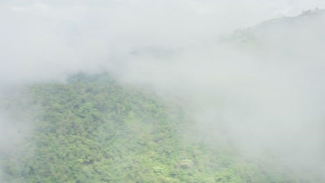 misty mountain forest landscape