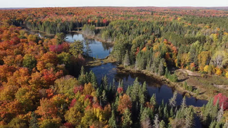 Crothers-Woods-Valle-Del-Río-Don-Toronto-Ontario-Aéreo