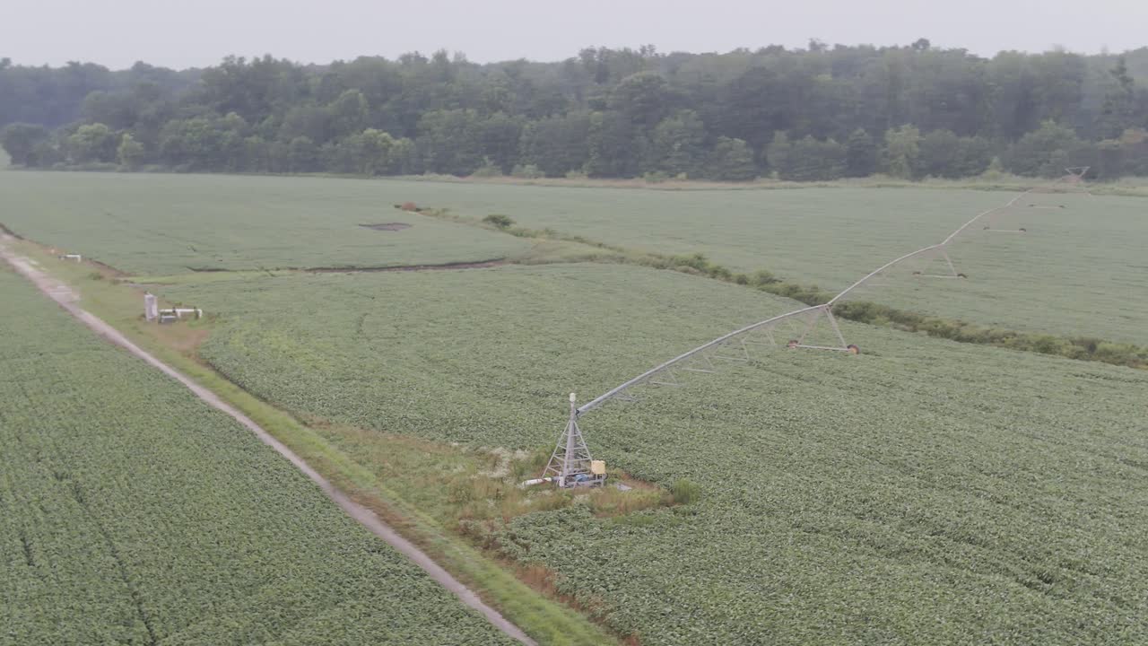 숲이 우거진 산의 조감도 패닝 클립