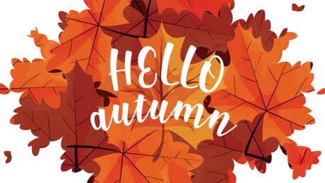 hello autumn - autumn leaves background