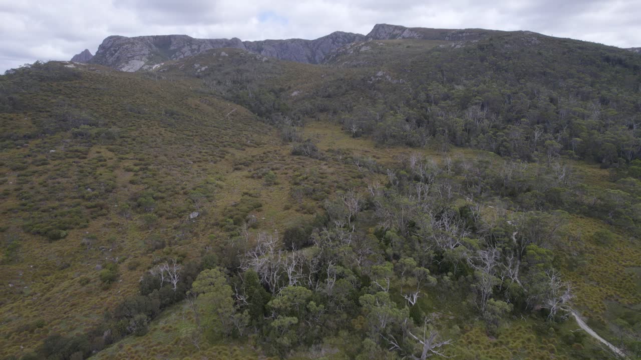 flora australiana y pico de montaña escarpado en la cuna de la montaña-lago st clair parques nacionales, tierras altas centrales, tasmania
