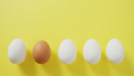 video of row of one brown and four white eggs with copy space on yellow background