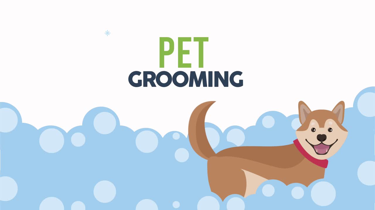 pet grooming bath time animation