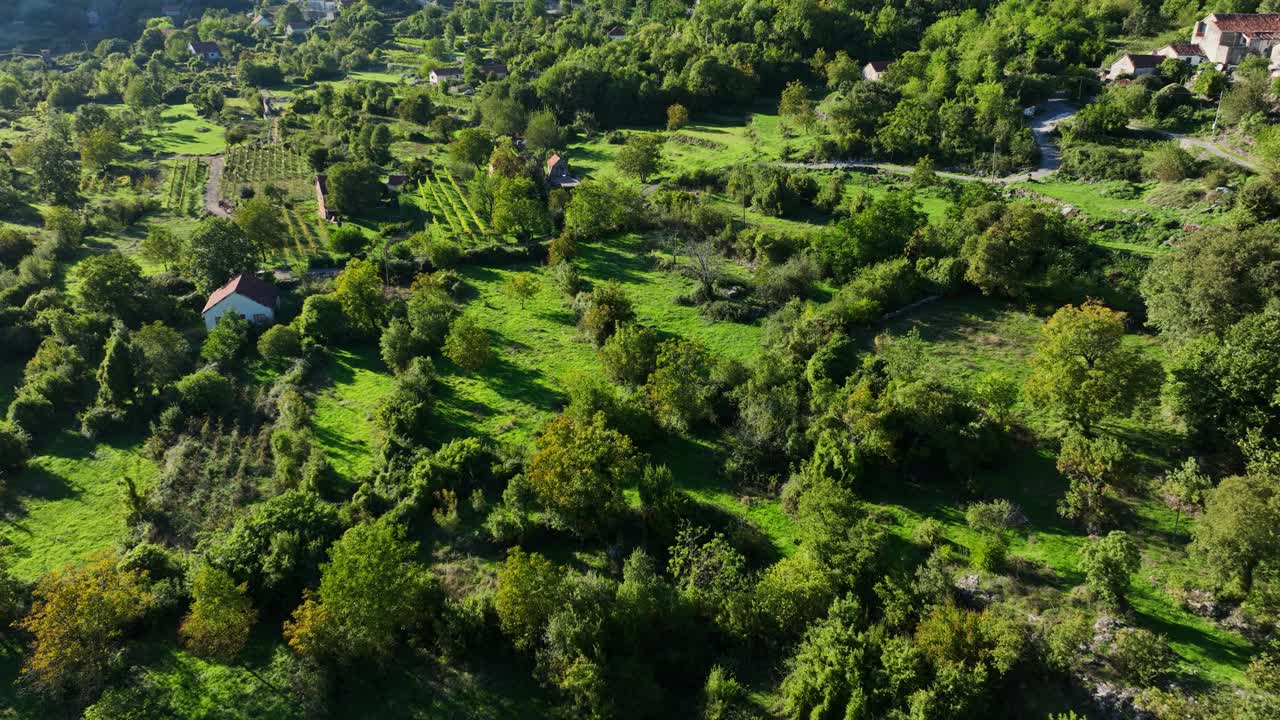 Lush Green Trees, Fields And Hills In Summer In Montenegro. - aerial shot