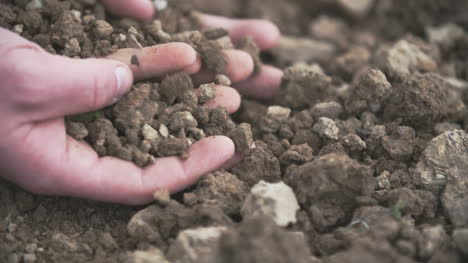 Interior-Close-Up-Shot-Of-Adult-Man-Hands-Holding-Soil-