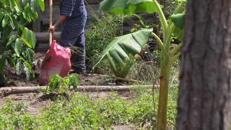 agricultor que trabaja la tierra de su plantación orgánica en una granja en una zona pobre